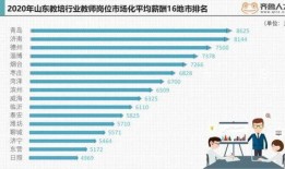 山东薪资爆料最新消息,最新薪资水平及行业动态大盘点