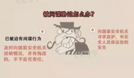 国家安全最新爆料,揭秘神秘爆料背后的真相