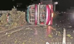 泉州车祸最新爆料,悲剧现场细节披露，事故原因引关注