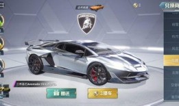 和平精英宝车皮最新爆料,神秘外观引玩家热议