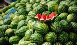 泰国西瓜最新爆料视频,揭秘视频背后的惊人真相！