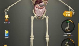 人体模型最新爆料网站,前沿科技与人体奥秘的碰撞