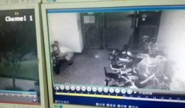 监控人最新爆料视频下载,惊人内幕一网打尽