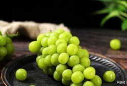 葡萄事件爆料最新消息,真相逐步浮出水面