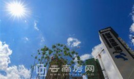 昆明海豚湾爆料视频最新,真相令人震惊！