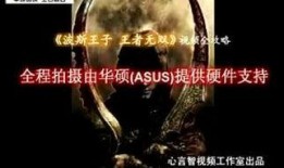 王者无双最新爆料视频在线观看,揭秘神秘英雄与全新玩法，在线观看抢先体验