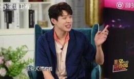 最新爆料何炅视频播放,揭秘幕后的真实瞬间