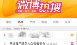 白鲨最新爆料新闻网,揭秘新闻网背后惊人内幕