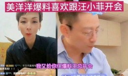 汪小菲在开会最新爆料,揭秘公司内部会议惊人内幕