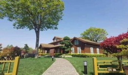 成武五中爆料事件最新消息