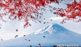 富士山最新爆料视频,壮观景象与神秘传说交织