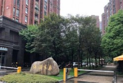 杭州临平爆料案件最新情况,疑点重重，真相渐明