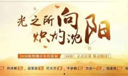 沈阳企业爆料事件最新,揭露背后真相与行业隐忧