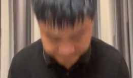 老陈最新爆料消息视频,最新爆料视频深度解析