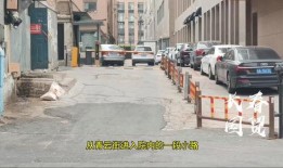 长春最新爆料消防事件,火场惊魂，英勇救援瞬间纪实