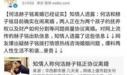 网友爆料离婚案件最新,豪门恩怨，真相背后令人唏嘘