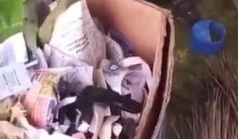 最新老鼠爆料视频,惊人内幕曝光！