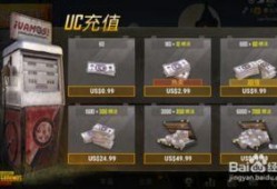 吃鸡国际服最新版本爆料,全新内容与玩法大曝光！