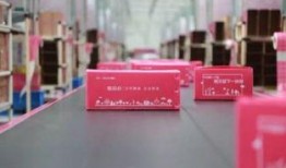 品骏快递最新爆料,揭秘行业变革背后的秘密