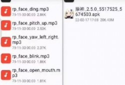 原神最新爆料人脸识别