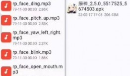 原神最新爆料人脸识别