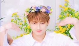 文俊辉最新爆料,幕后故事与心路历程