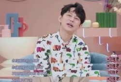 最新爆料何炅视频播放,揭秘幕后的真实瞬间