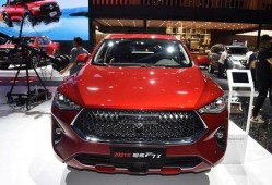 哈佛最新爆料新闻视频播放,揭秘视频内容引发热议