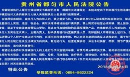 爆料老赖新闻最新消息,老赖名单再添新成员，法院重拳出击维护正义