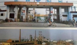 临颍新闻爆料最新消息,最新爆料揭示惊人真相！