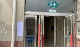 卖惨夫妻爆料视频大全最新,真实与虚假的较量