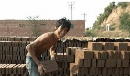 工地搬砖哥最新网友爆料,揭秘搬砖工真实生活现状