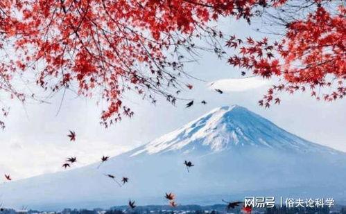 富士山最新爆料视频,壮观景象与神秘传说交织