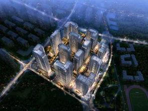 昆明海豚湾爆料视频最新,真相令人震惊！